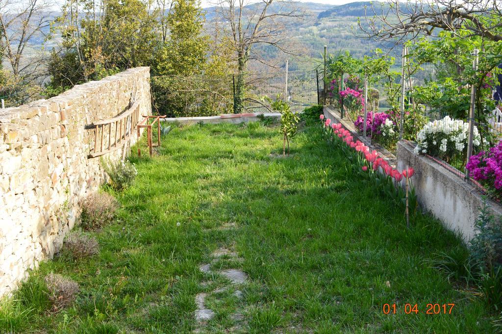 House Of Veli Joze Villa Motovun Esterno foto